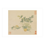 Wang Chengyu~flowers And Vegetables, Vegetables, Fruits, Plums, Apricots, Celery (Print Only) thumbnail
