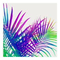 Colorful Palm (Print Only)