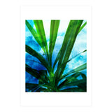 Remixed Spirit V1 (Print Only) thumbnail