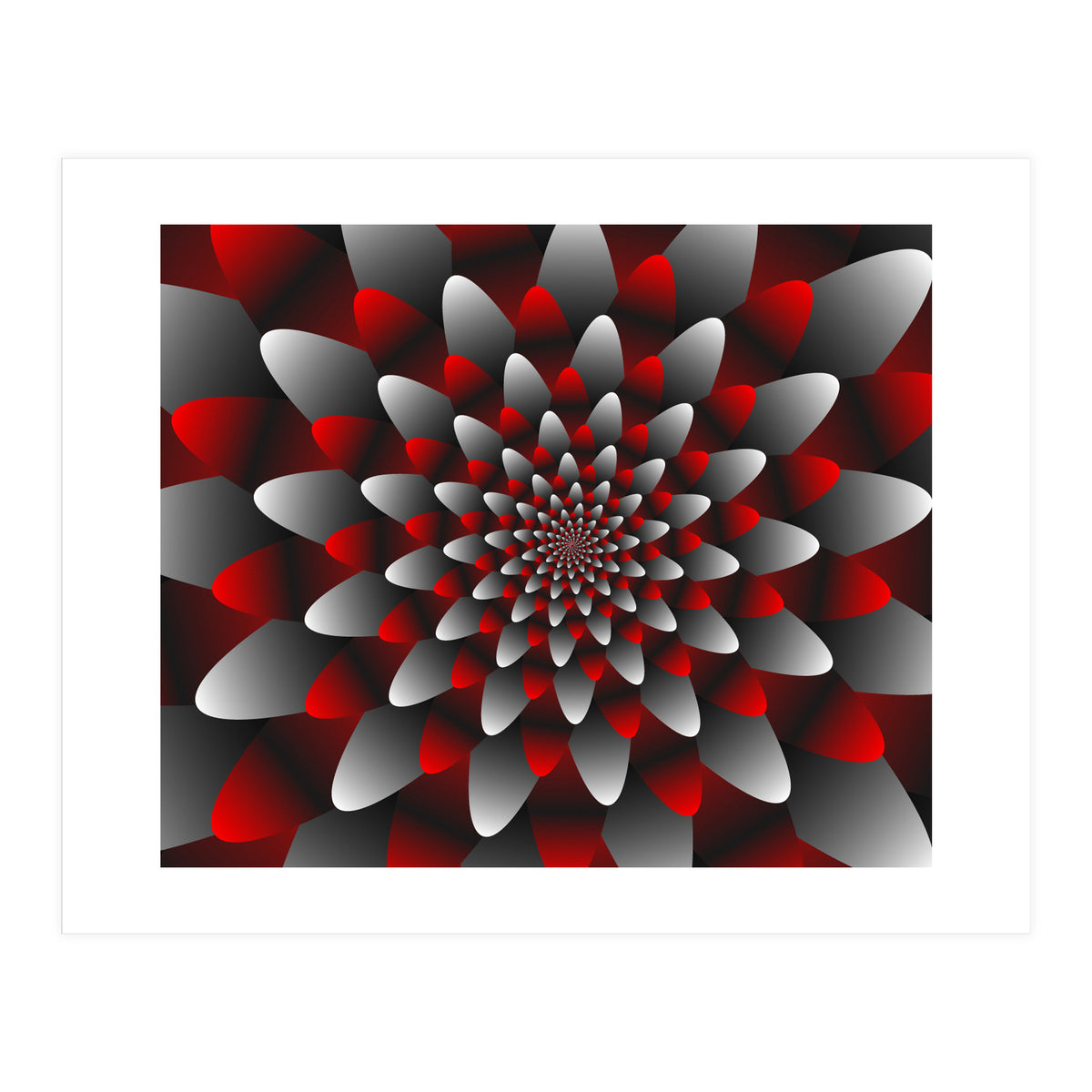 Beautiful Modern Flower Graphics (Print Only)