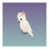 Salmon-crested cockatoo (Print Only) thumbnail