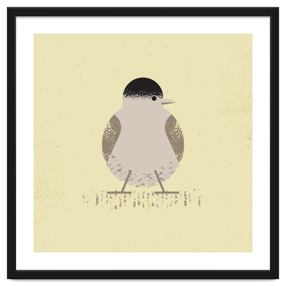 Blackcap 2
