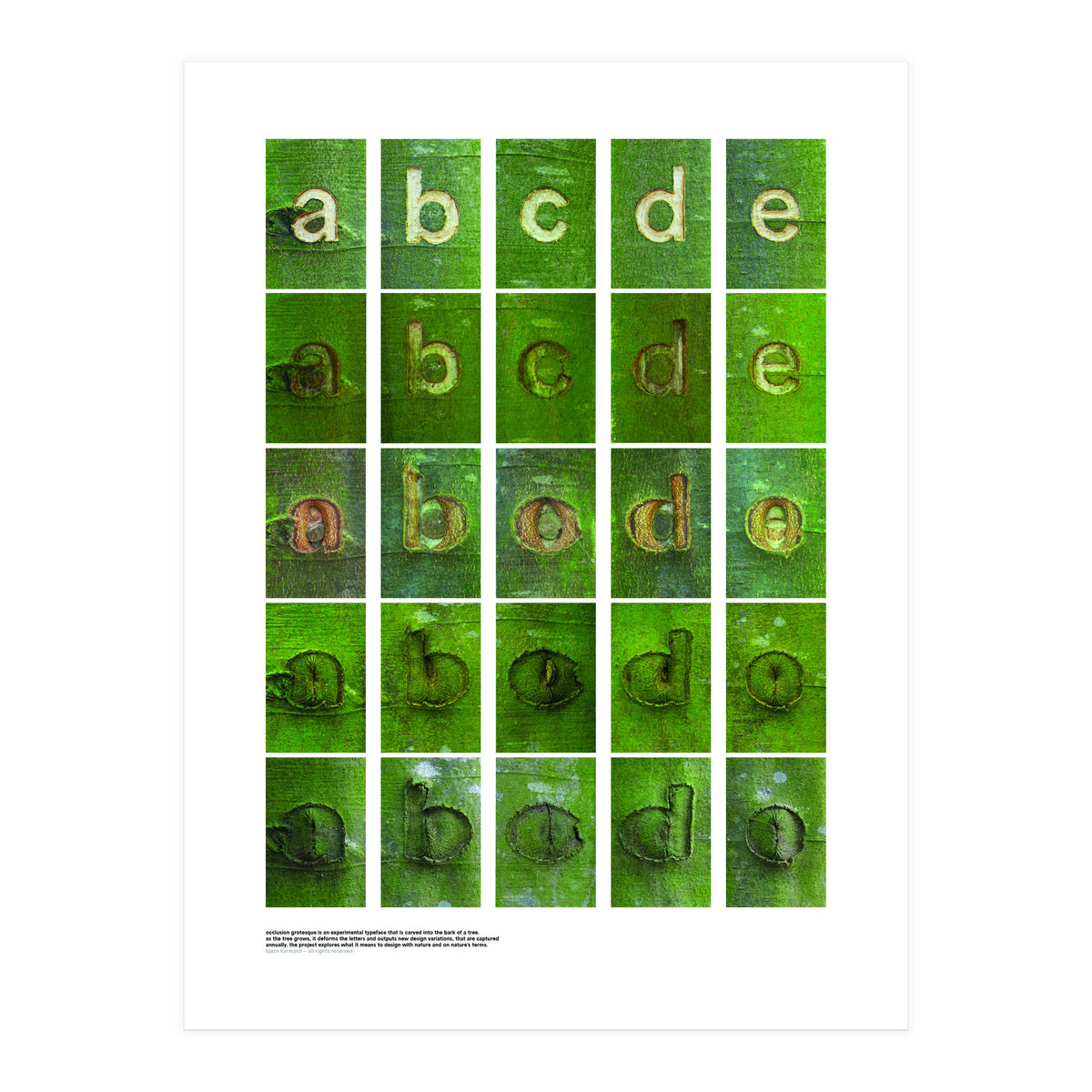 abcde (Print Only)
