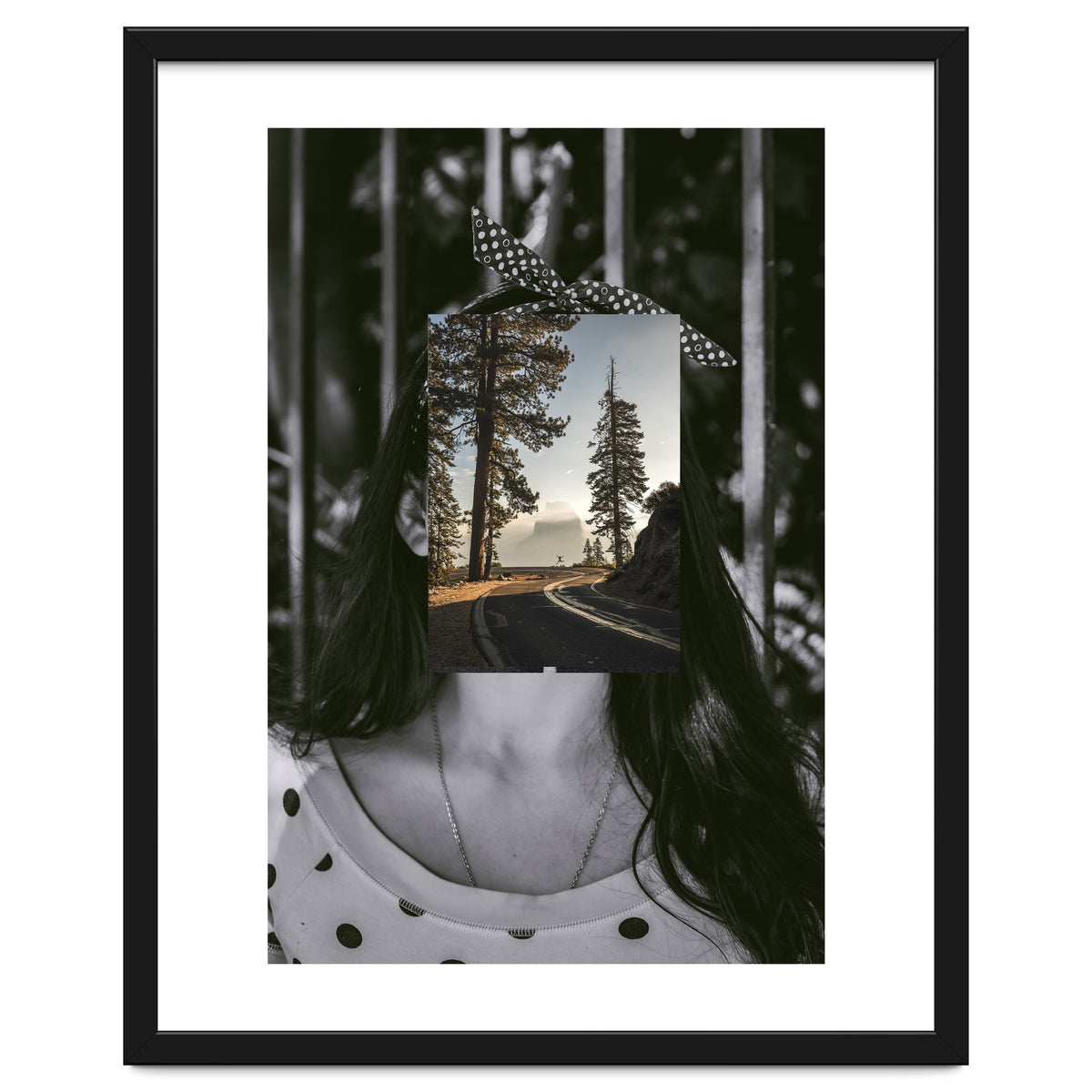 Silva Where Are You?