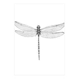Dragonfly Wings (Print Only) thumbnail