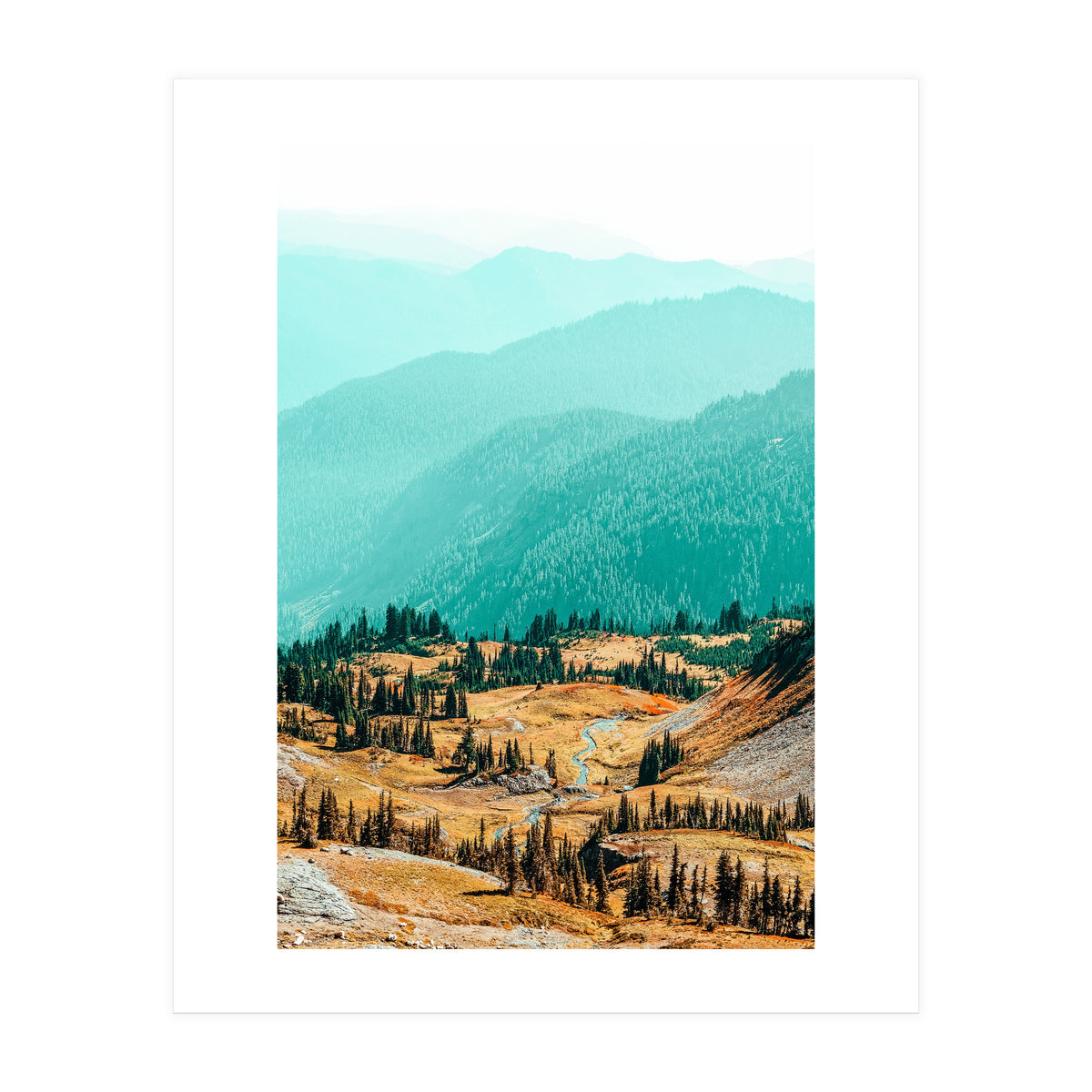 Delight Ii (Print Only)