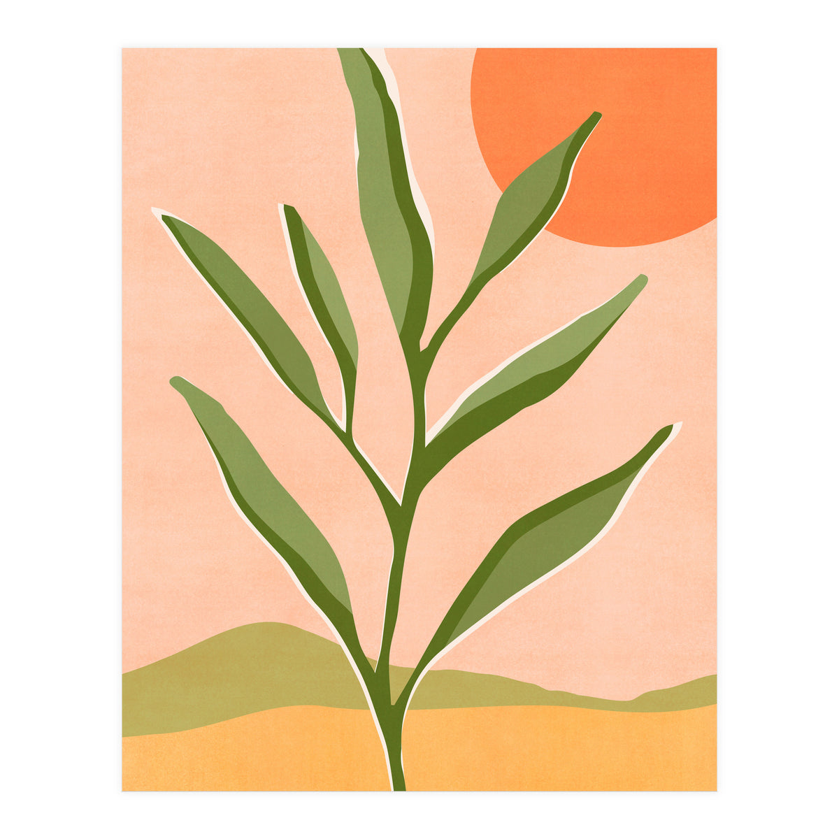 The Sun and The Succulent (Print Only)