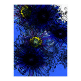 Untitledl 1 (Print Only) thumbnail