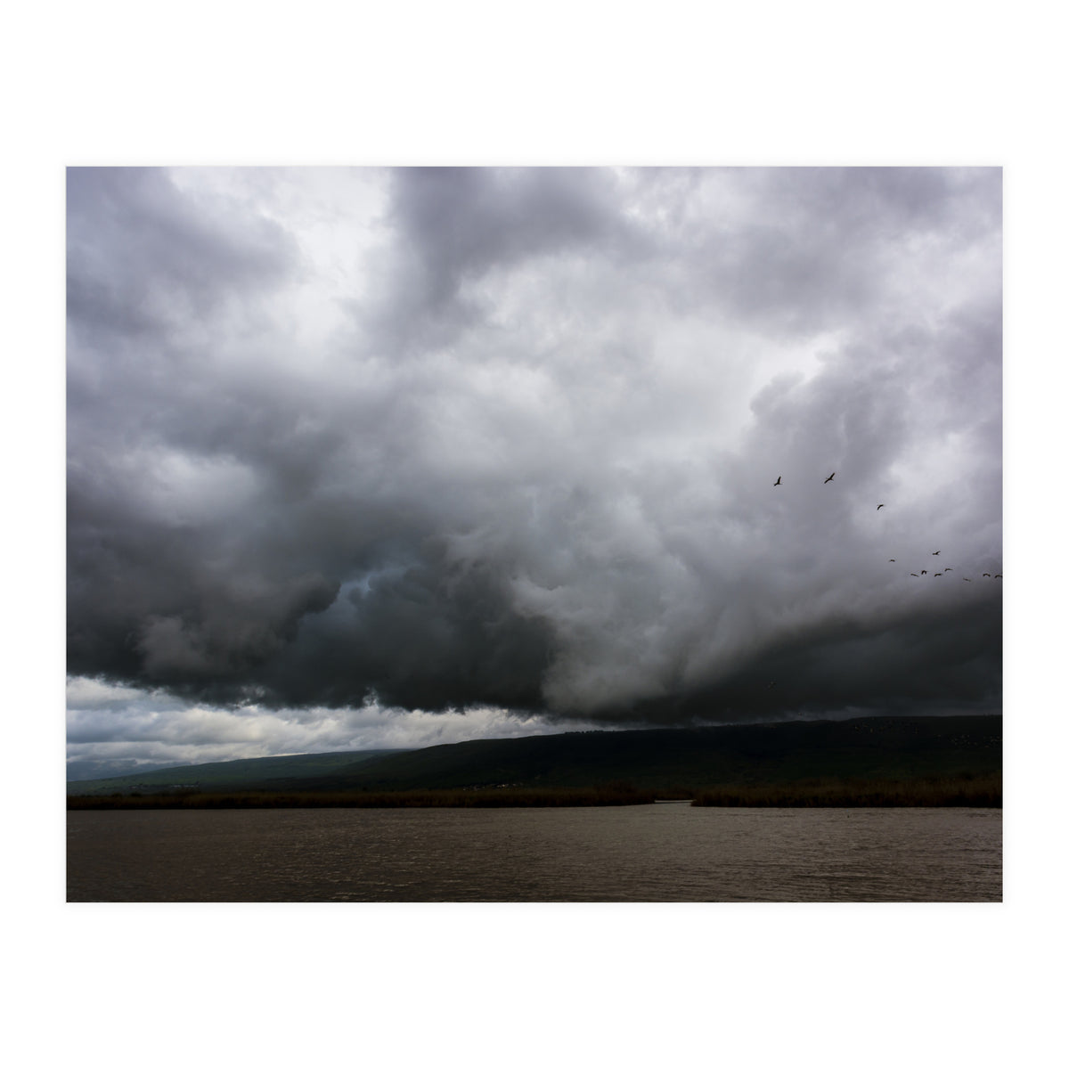 The Hula Valley #1 (Print Only)