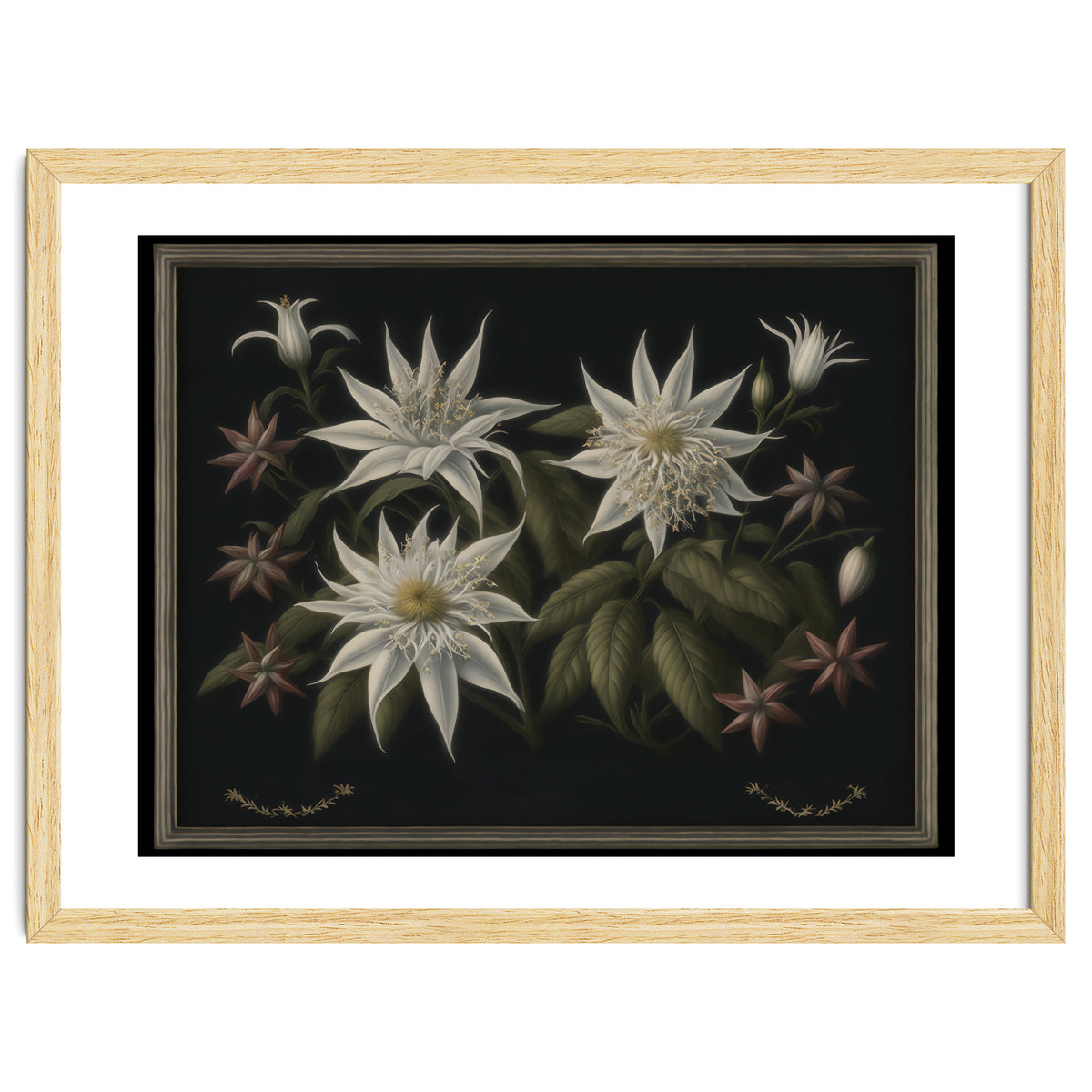 Edelweiss Vintage Illustration