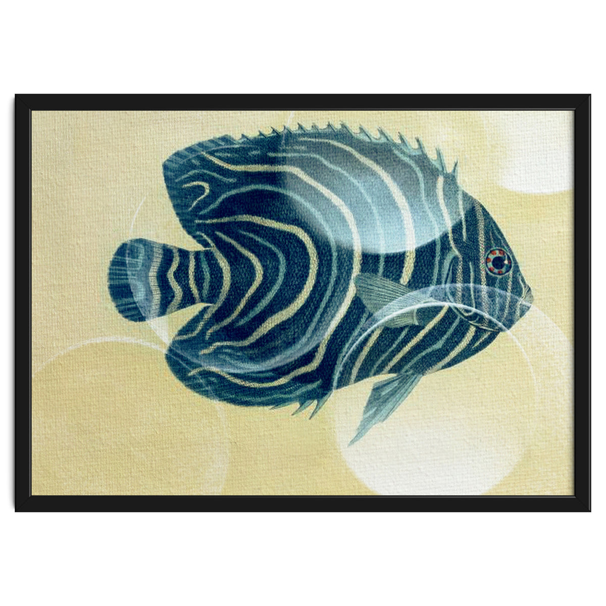 Fish Between Circles