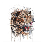 Leopard - Wildlife Collection (Print Only) thumbnail
