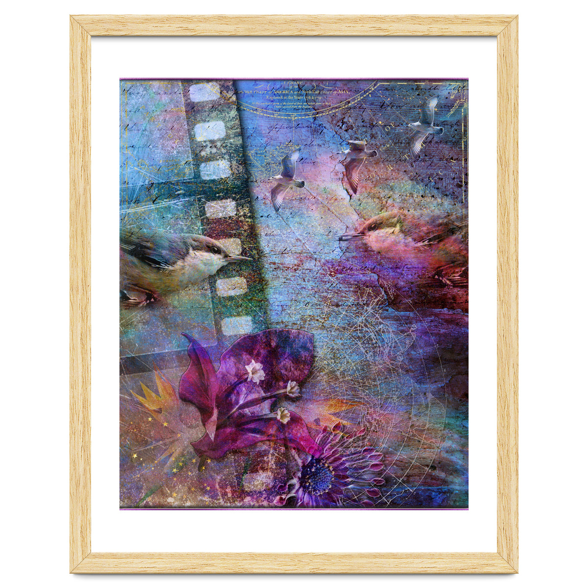 Watching the Wild World