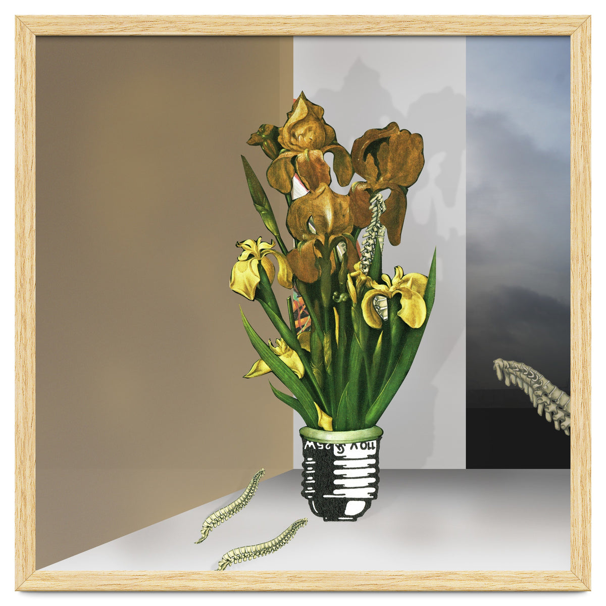 Das Licht Der Pflanze