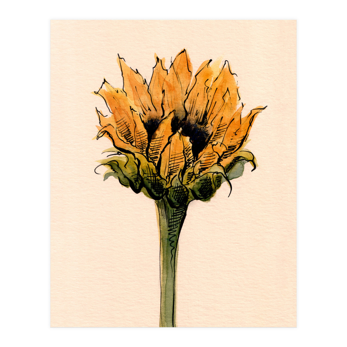 Sunflower (Print Only)