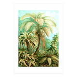 Vintage Tropical | Jungle Botanical Nature Banana Tree | Bohemian Plants Trees Forest (Print Only) thumbnail