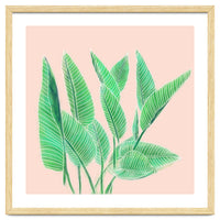 Modern Hand Painted Tropical Green Watercolor Leaf Bird Of Paradise On Pastel Pink