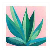 Southwest Agave (Print Only)