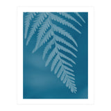Pteridopsida 2 (Print Only) thumbnail