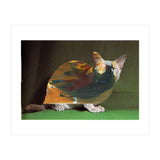 Color Cat (Print Only) thumbnail