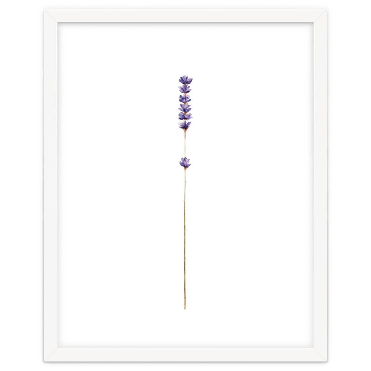 Lavender twig
