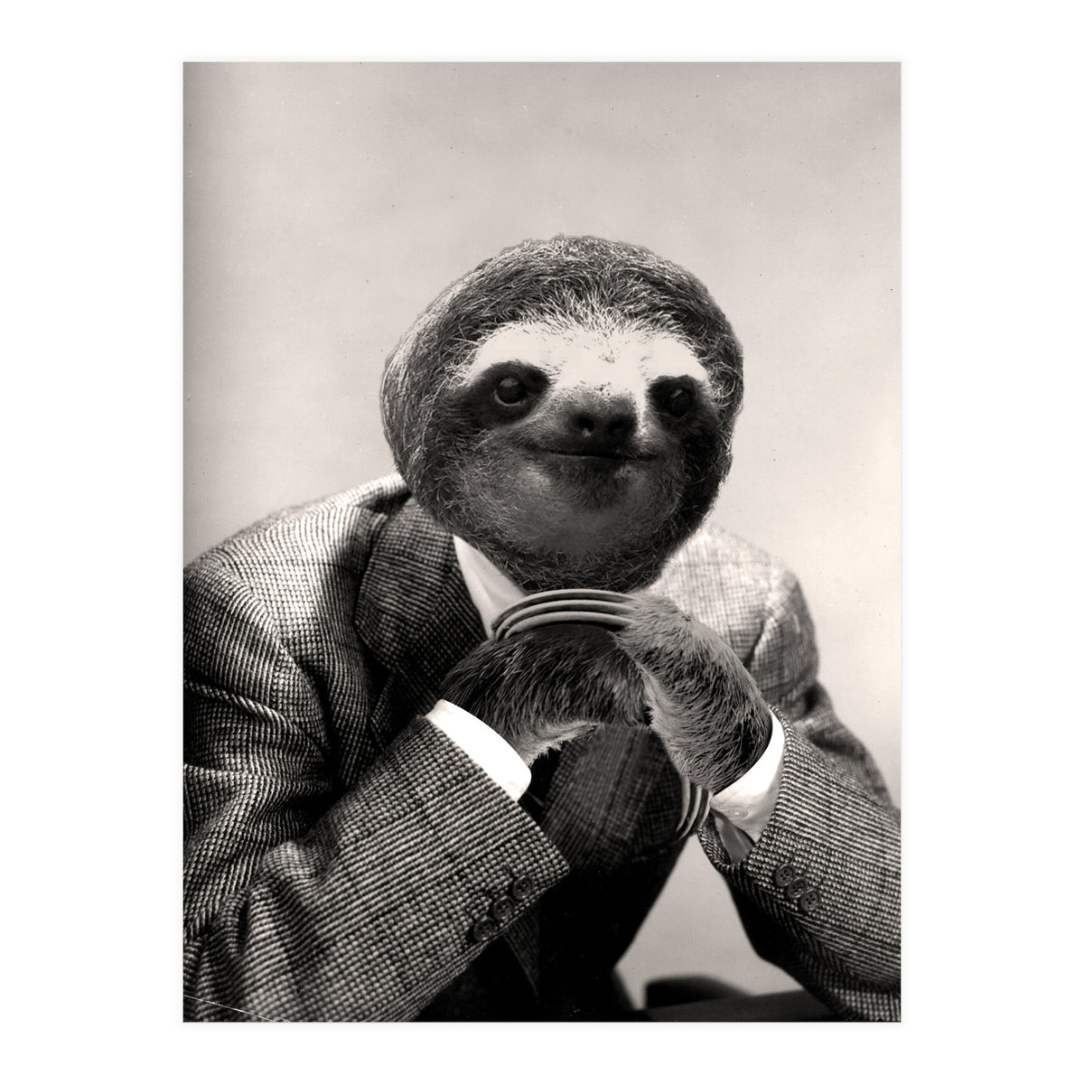 Gentleman Sloth 3 (Print Only)