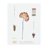 Botanical Notes (Print Only) thumbnail