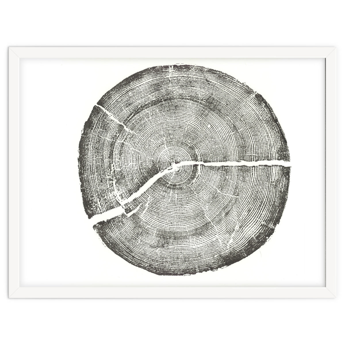 Rock Canyon, Tree Ring Print, Woodblock