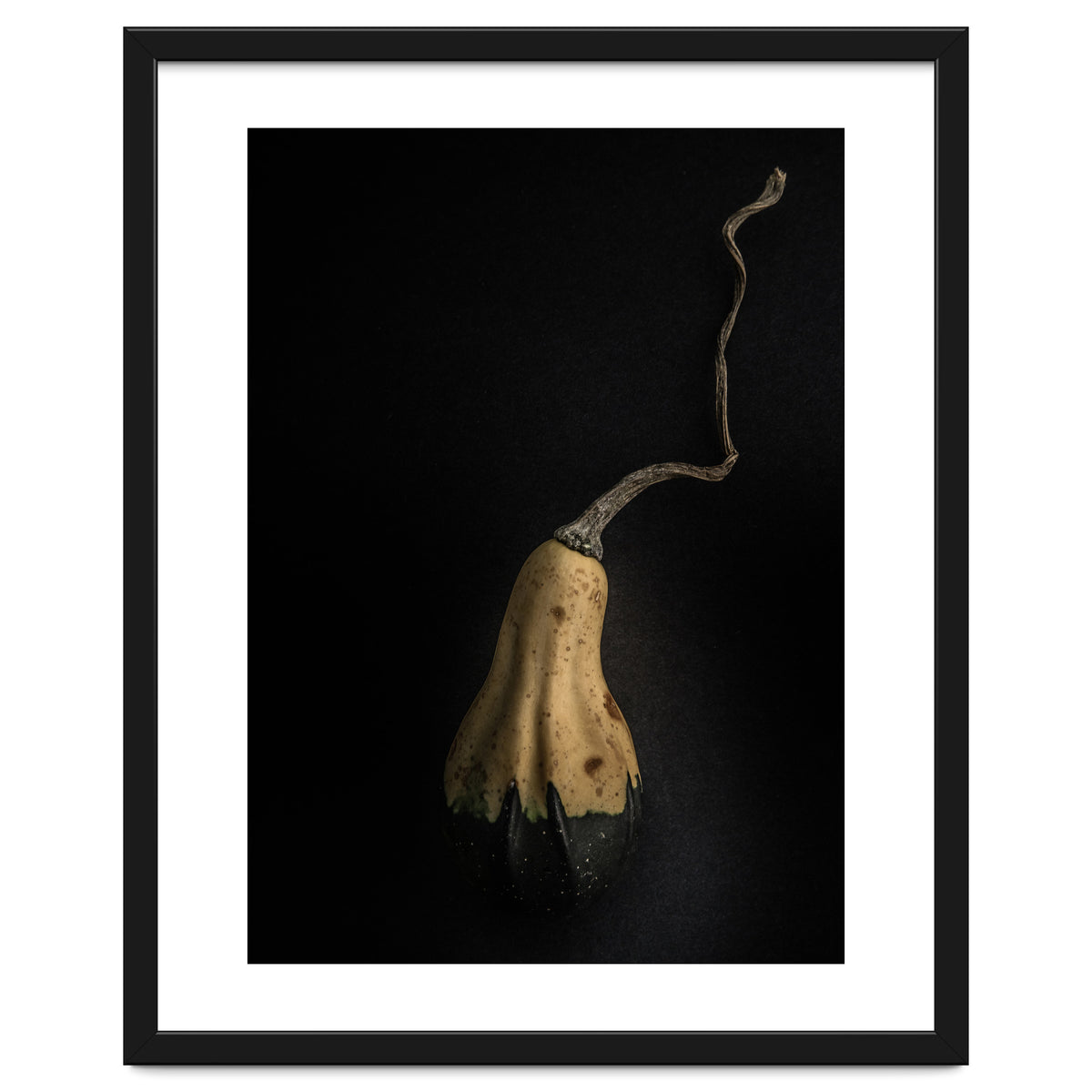 Gourds No 12 Color Version