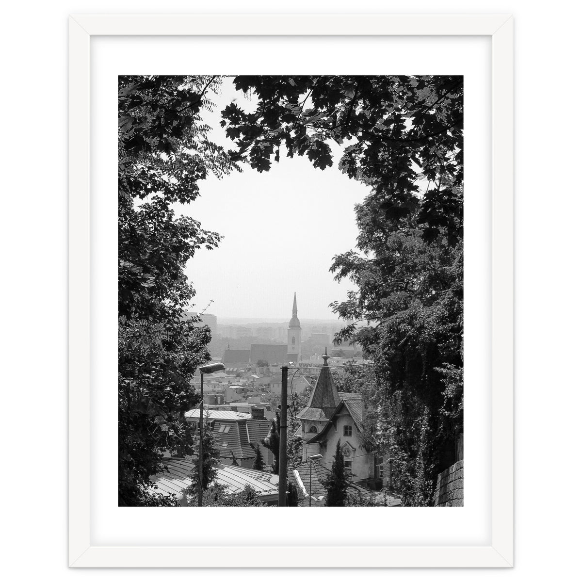 Bratislava Reflection