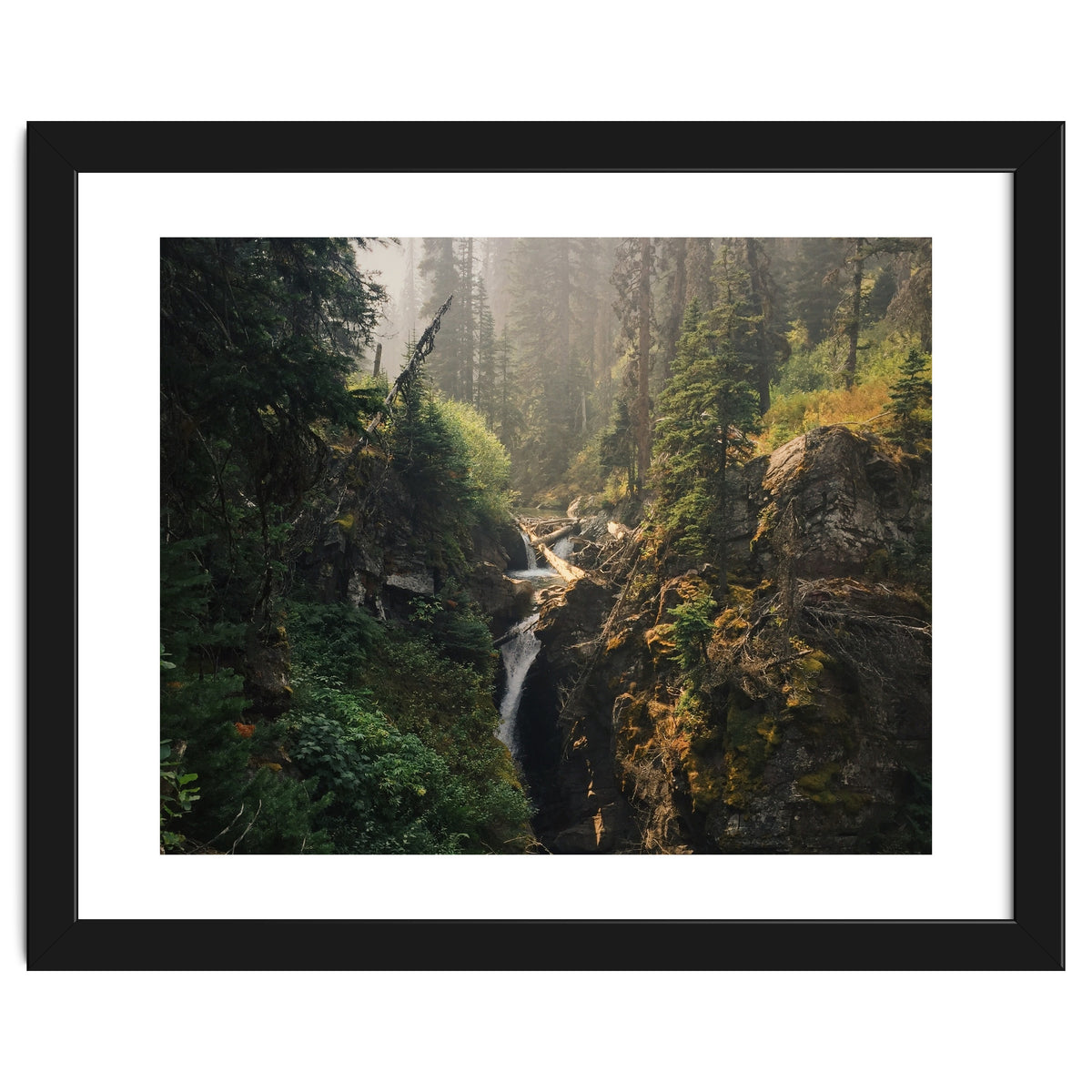 Glacier National Park I