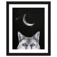 Fox Of The Night
