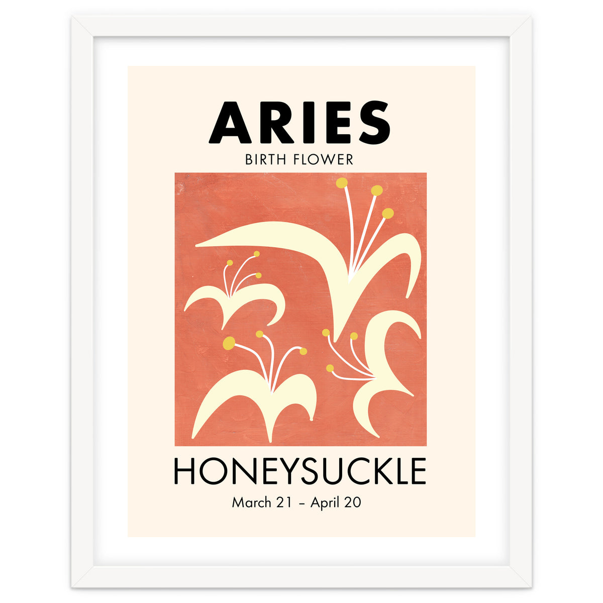 Aries Birth Flower Honeysuckle