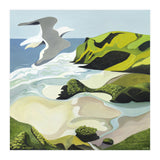 Gull Over Anawhata (Print Only) thumbnail