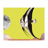 Plenty of fish in the sea yellow (Print Only) thumbnail