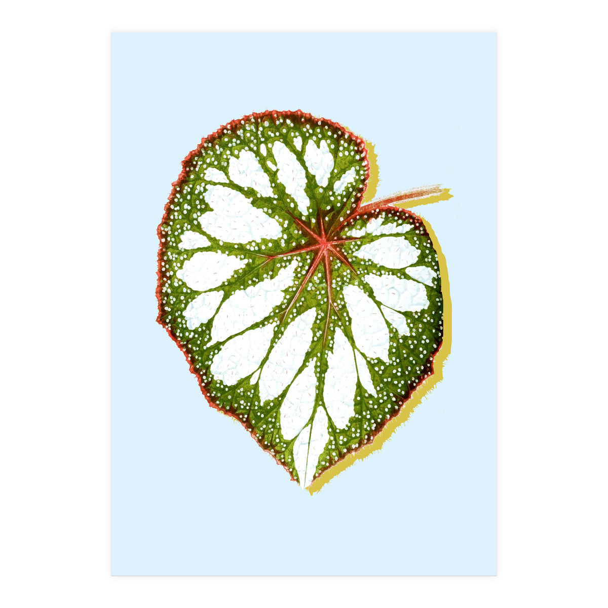 Prodigy (Print Only)