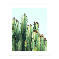 Cactus Love (Print Only)