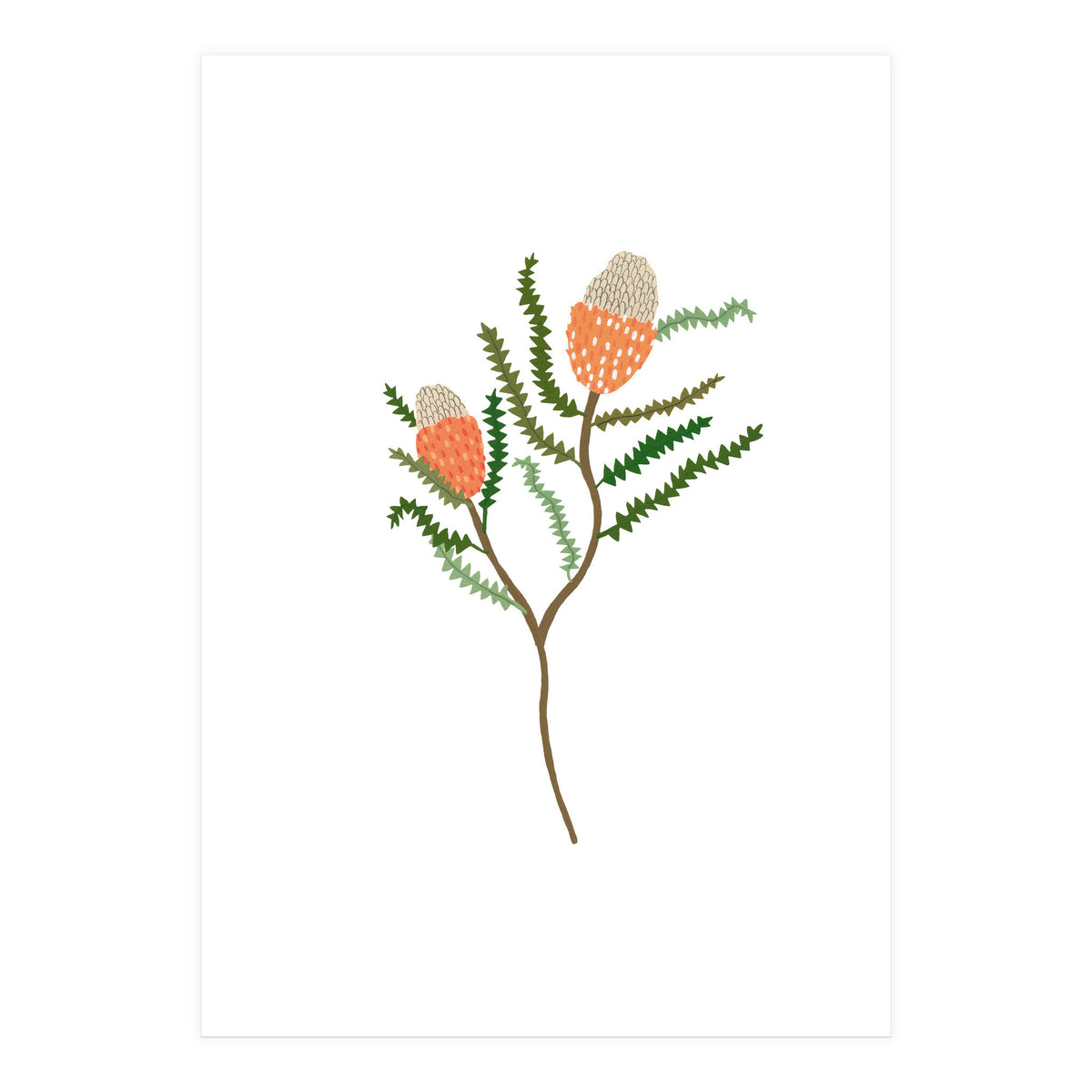 Banksia Flowers (Print Only)