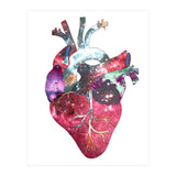 Superstar Heart (Print Only) thumbnail