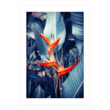 Parakeet Tropical Flower (Print Only) thumbnail