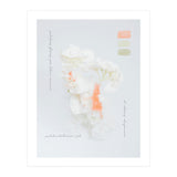 Modern Vintage Botanic (Print Only) thumbnail