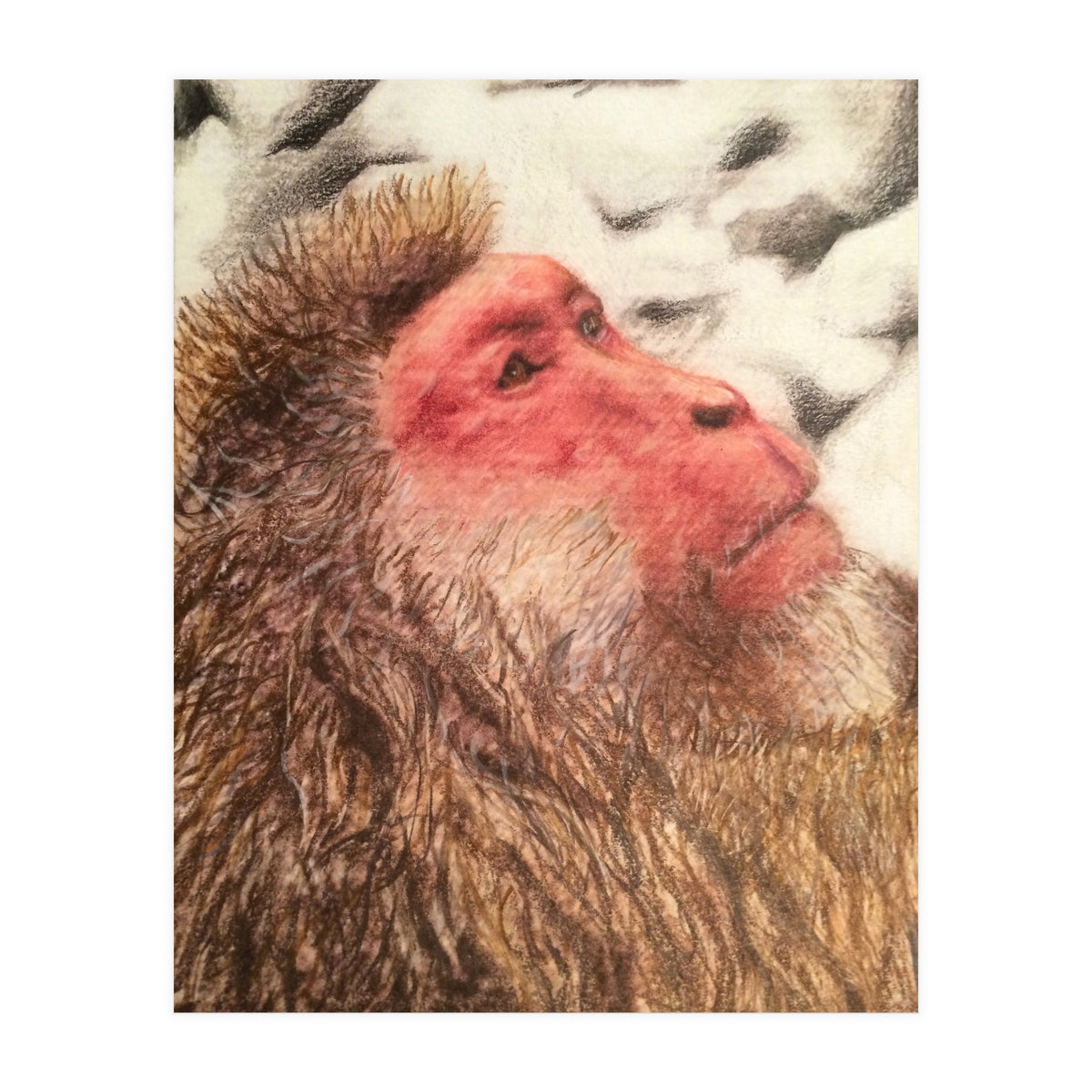 Japanese Macaque At The Onsen (Print Only)