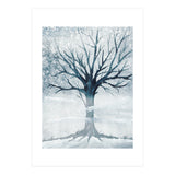 Winter tree  (Print Only) thumbnail