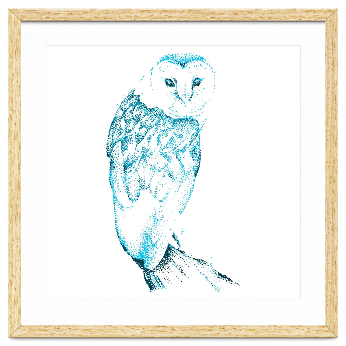 Barn Owl in Teal