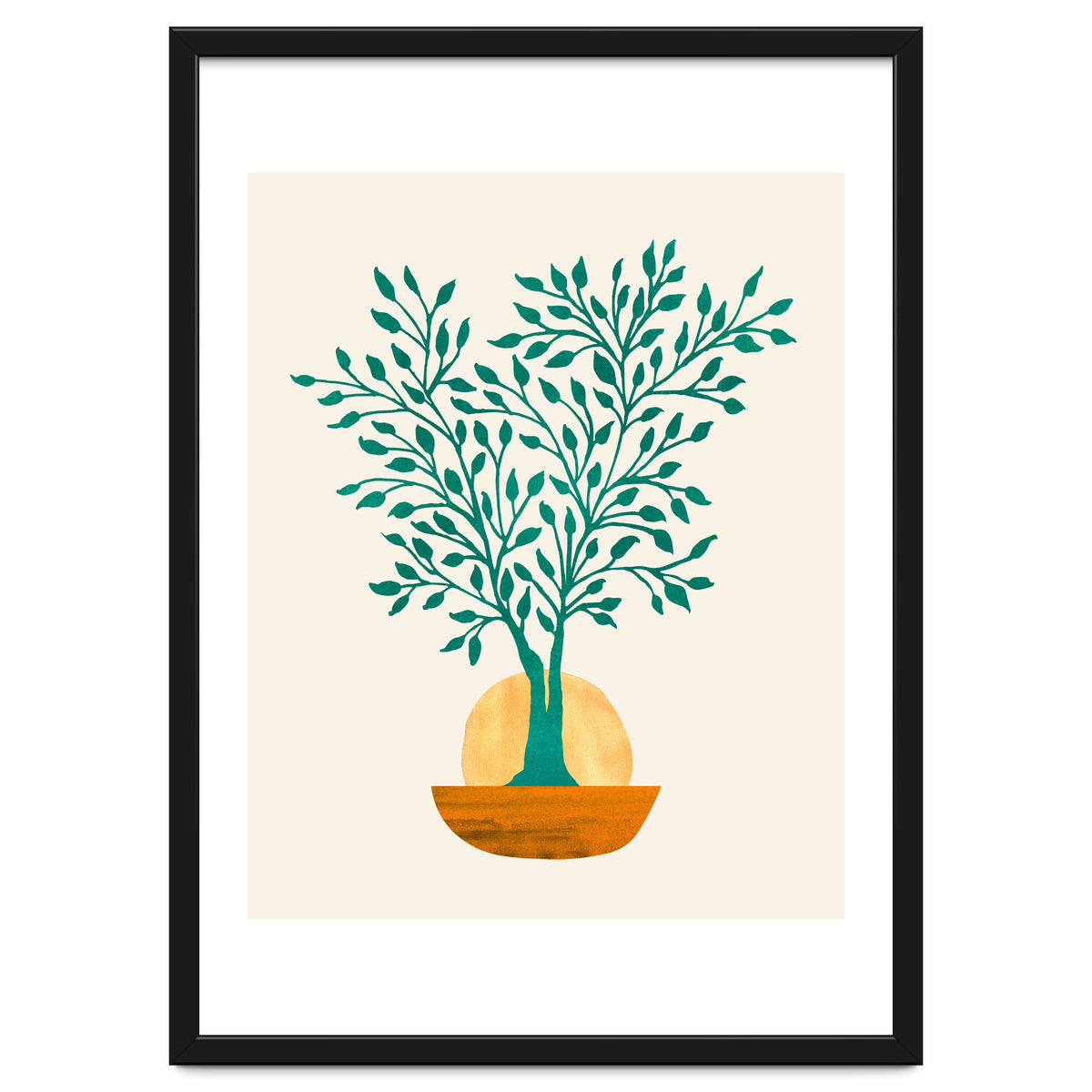 Emerald Ficus Sunset