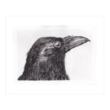 Crow (Print Only) thumbnail