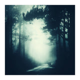 passage (Print Only) thumbnail