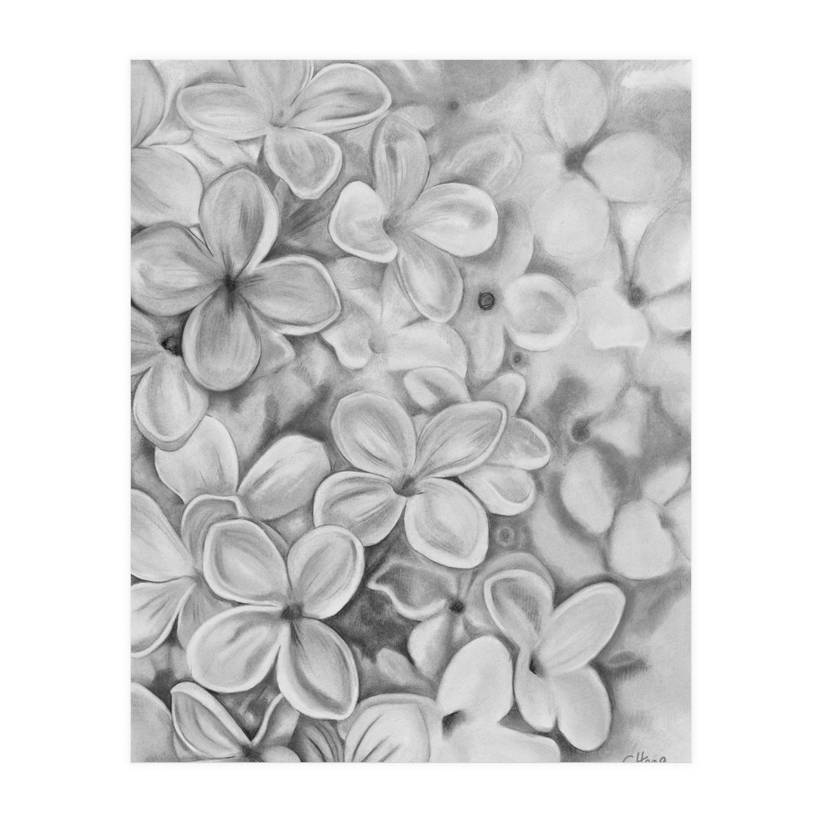 The Essence Of Spring in Monochrome (Print Only)