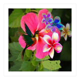 Hummingbird (Print Only) thumbnail