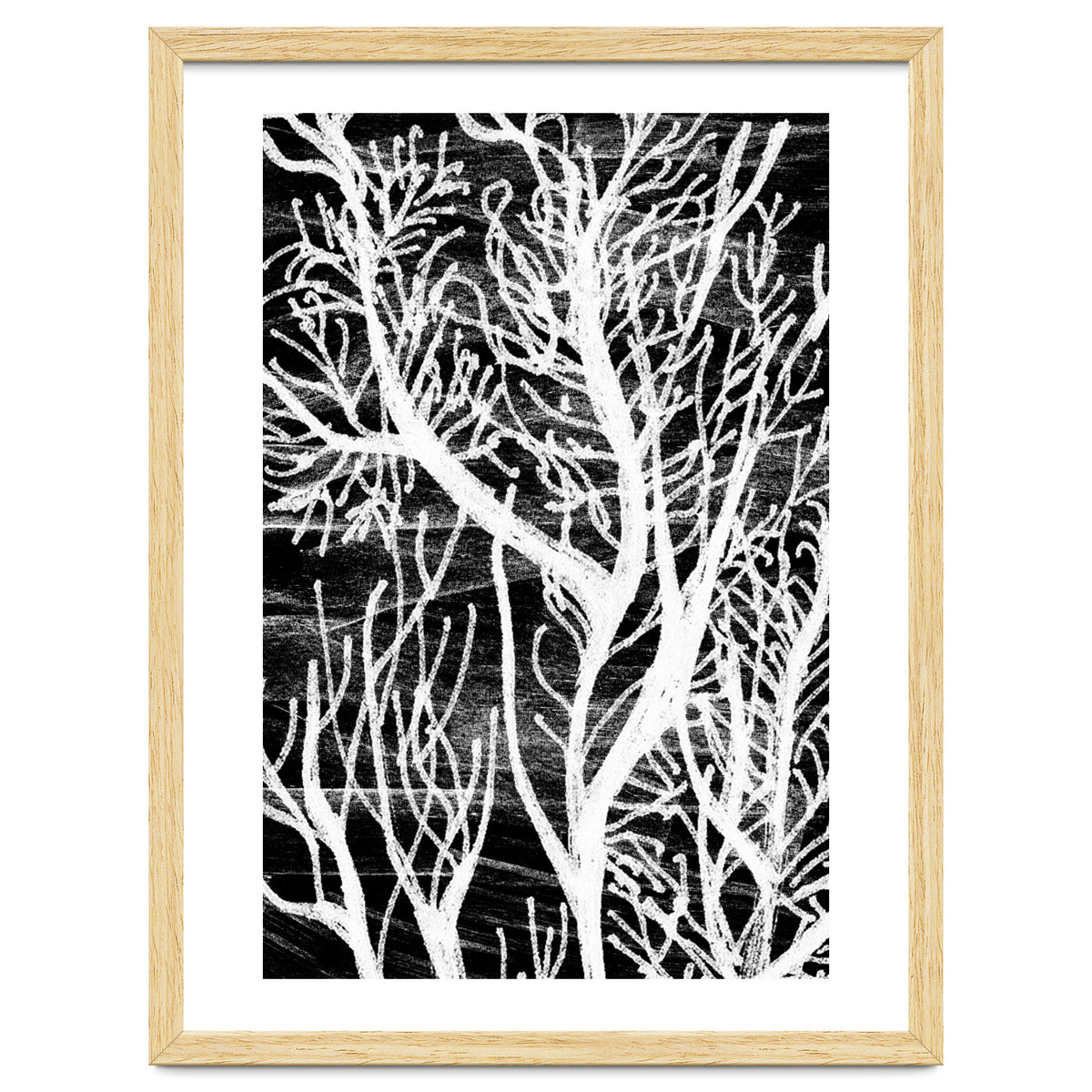 Desert Colours Collection 5